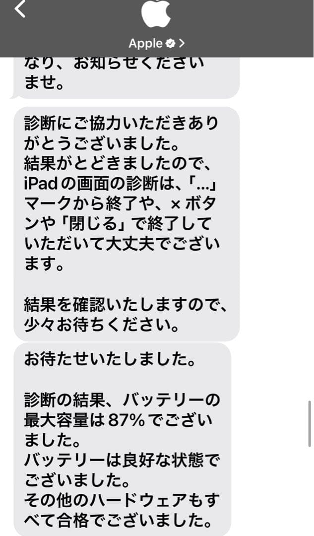 元箱付属品完備 iPad mini 第5世代 256GB スペースグレー　おまけ