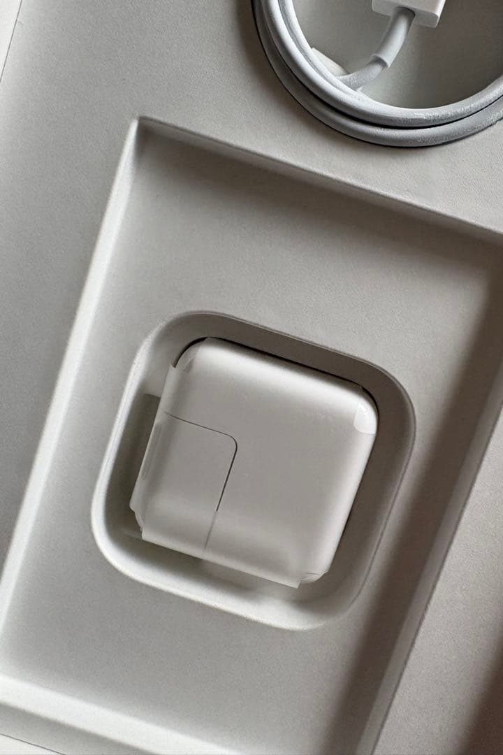 元箱付属品完備 iPad mini 第5世代 256GB スペースグレー　おまけ