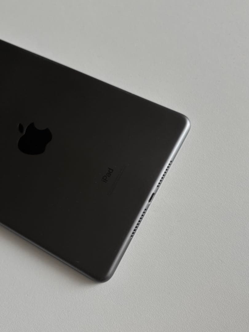 元箱付属品完備 iPad mini 第5世代 256GB スペースグレー　おまけ