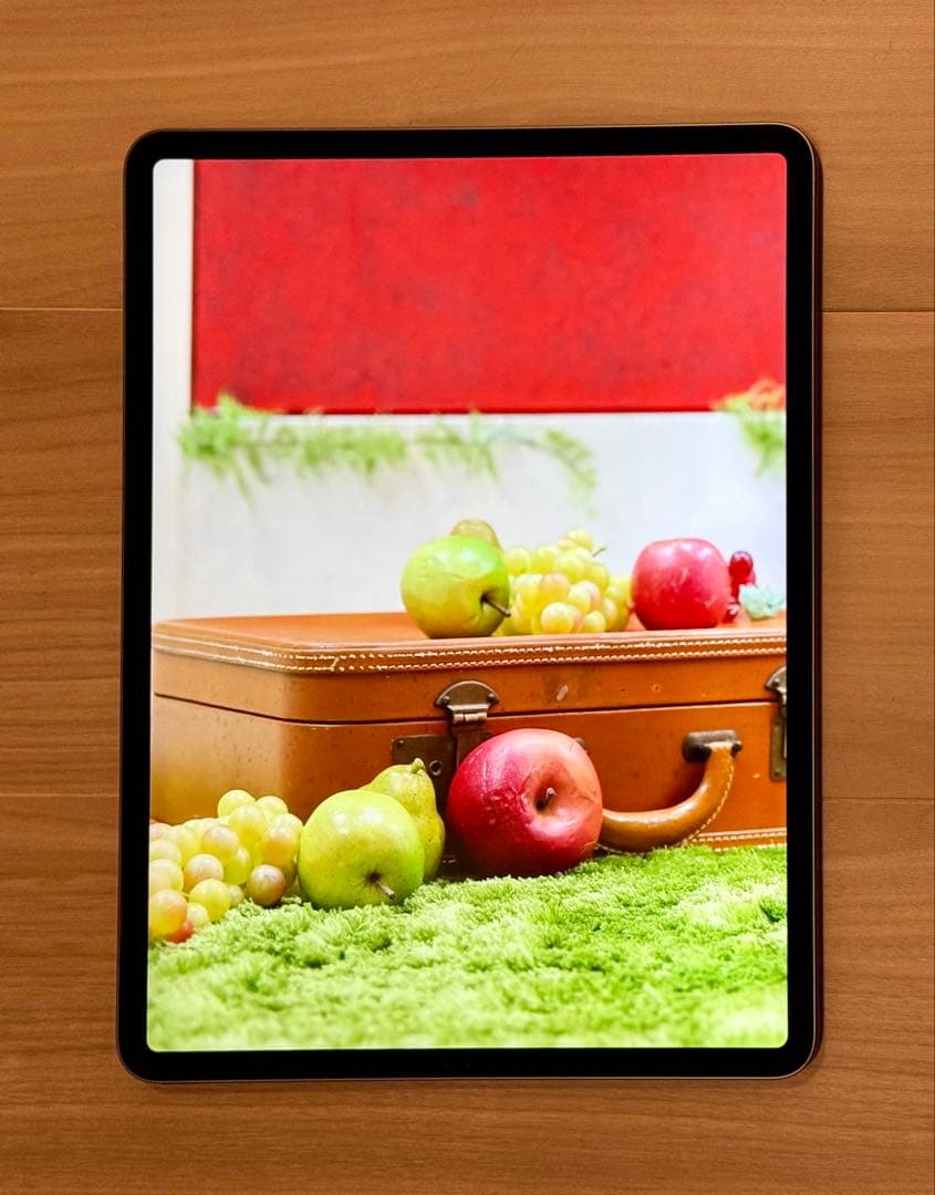 iPad Pro 12.9インチ 第3世代 Wi-Fi 256GB 非純正ペン付