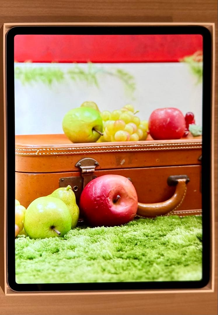 iPad Pro 12.9インチ 第3世代 Wi-Fi 256GB 非純正ペン付