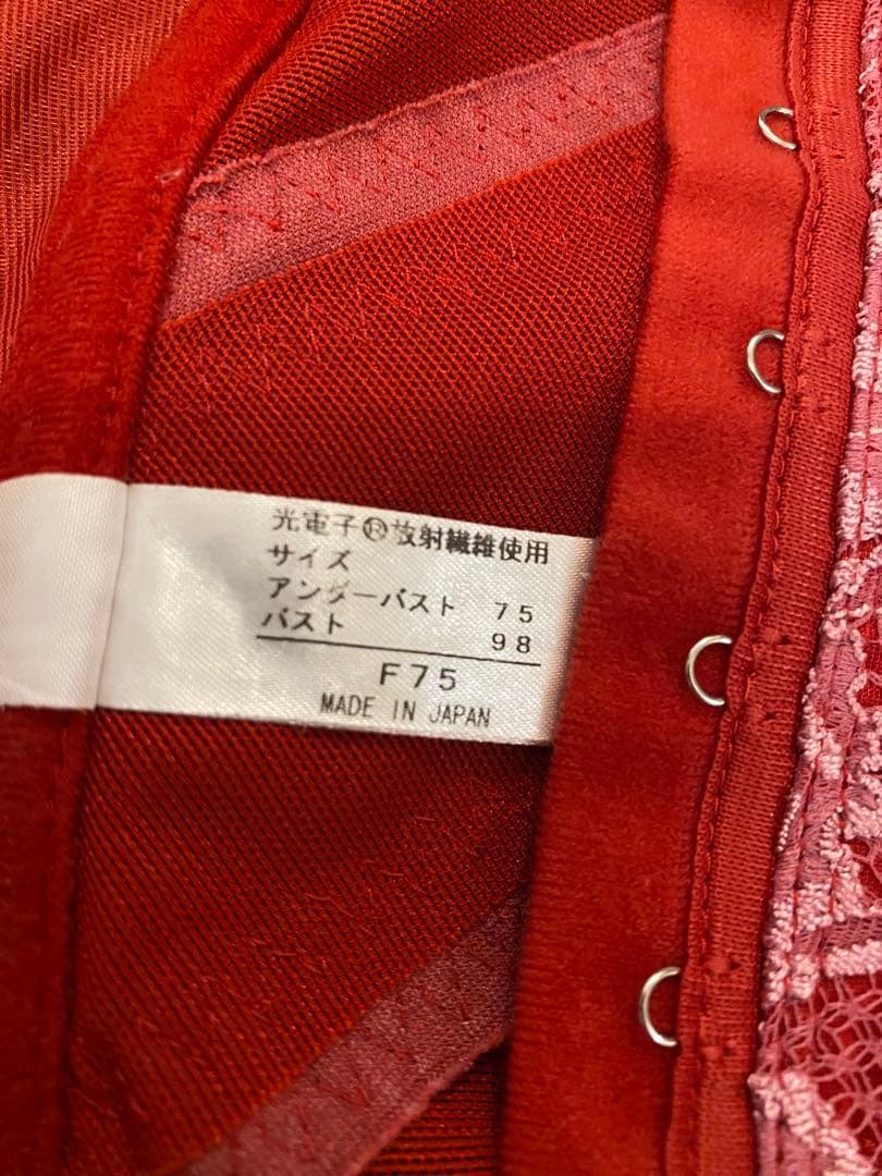 グラントイーワンズ ニッパービスチェ 赤 Ｆ７５