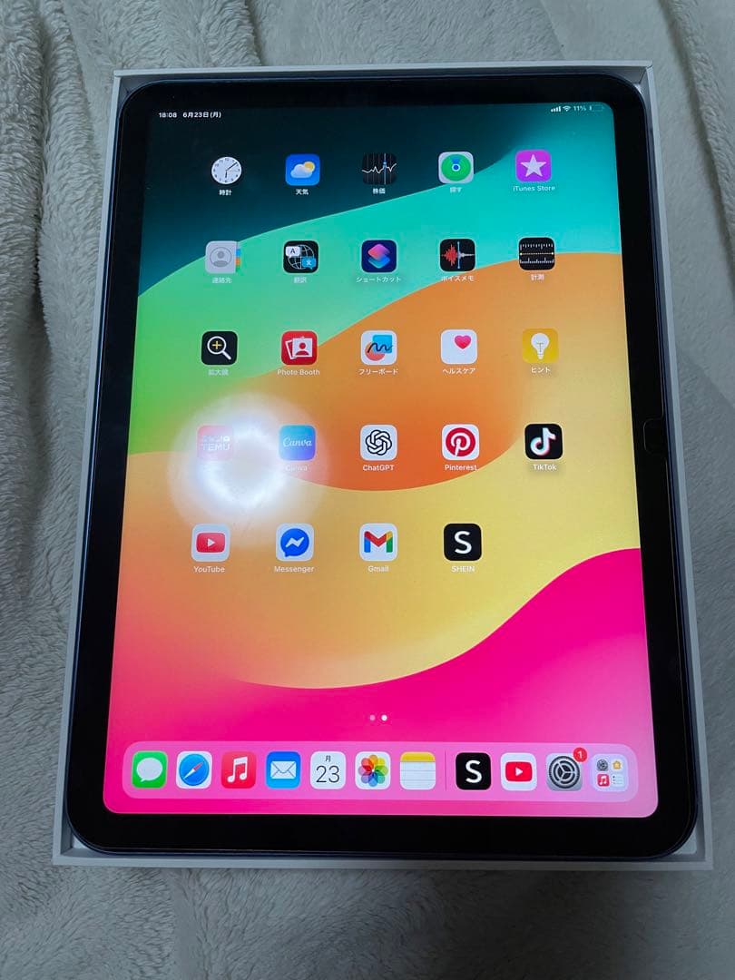 iPad (第10世代) Wi-Fi Cellular 64GB+1TB
