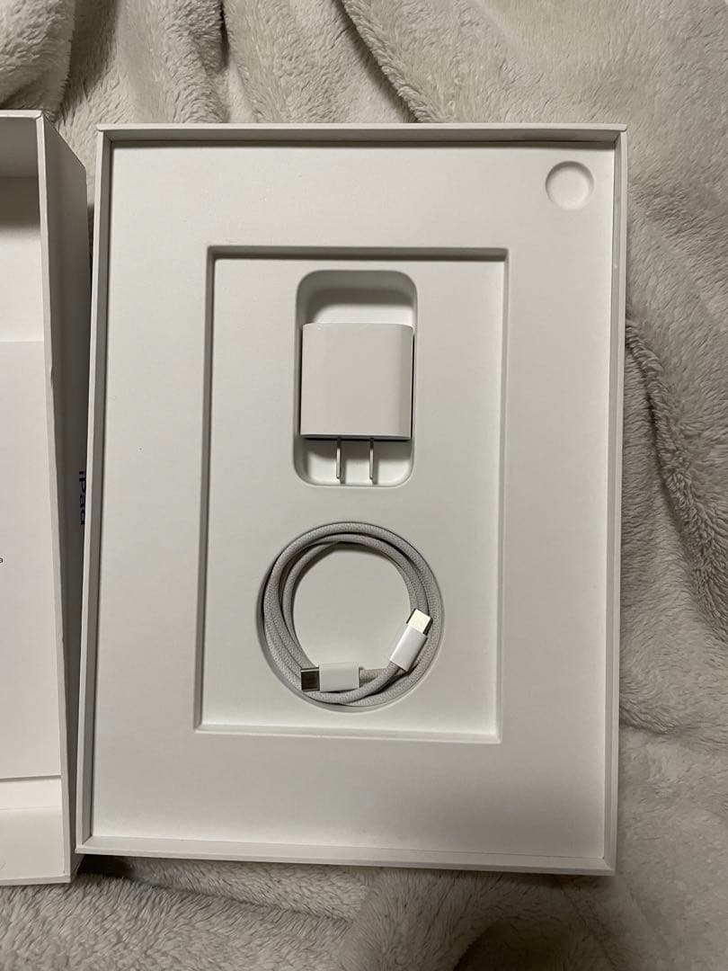 iPad (第10世代) Wi-Fi Cellular 64GB+1TB