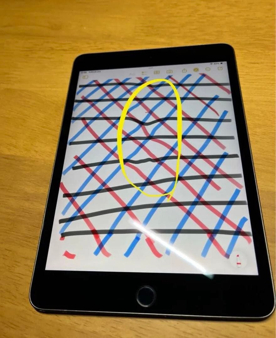 Apple iPad mini 5 スペースグレー 本体　256GB A2133