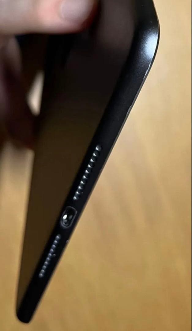 Apple iPad mini 5 スペースグレー 本体　256GB A2133