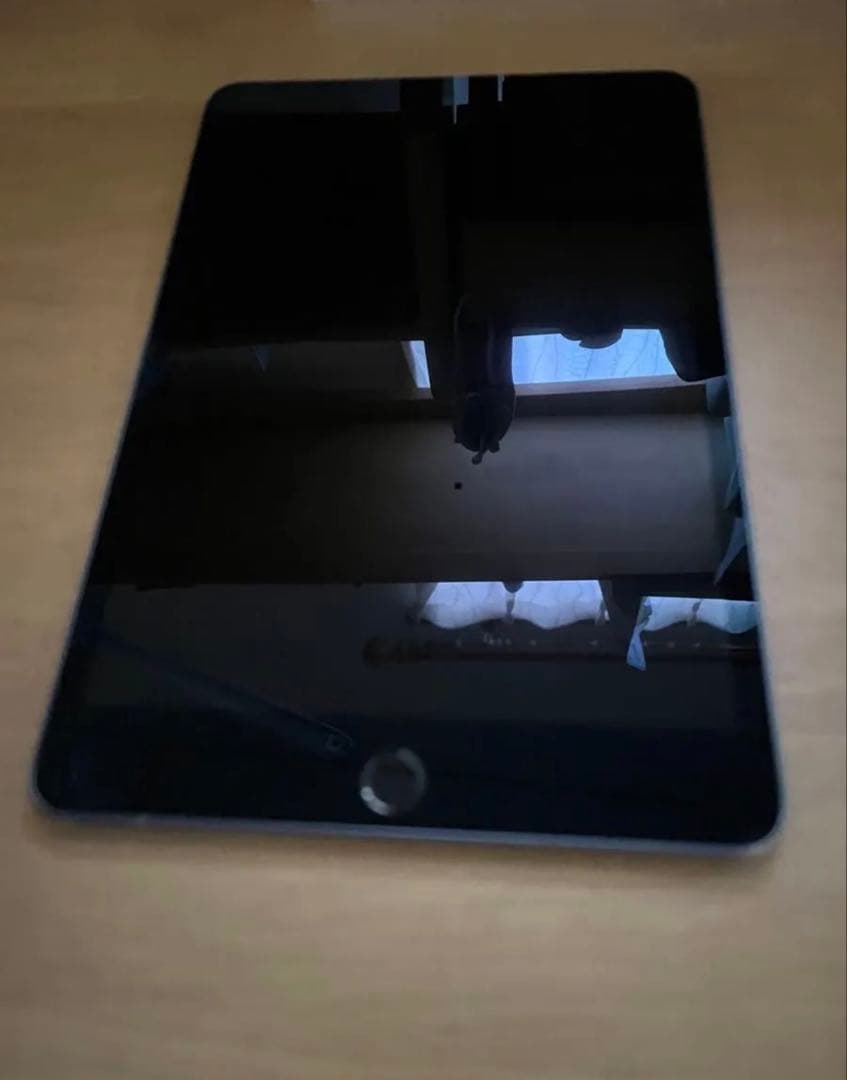 Apple iPad mini 5 スペースグレー 本体　256GB A2133