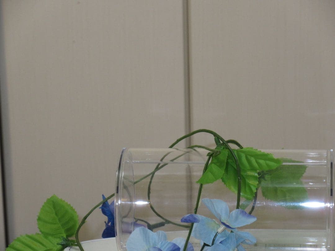 美品　Canon IXY 630 PC2052充電器　説明書 コンデジ　動作品