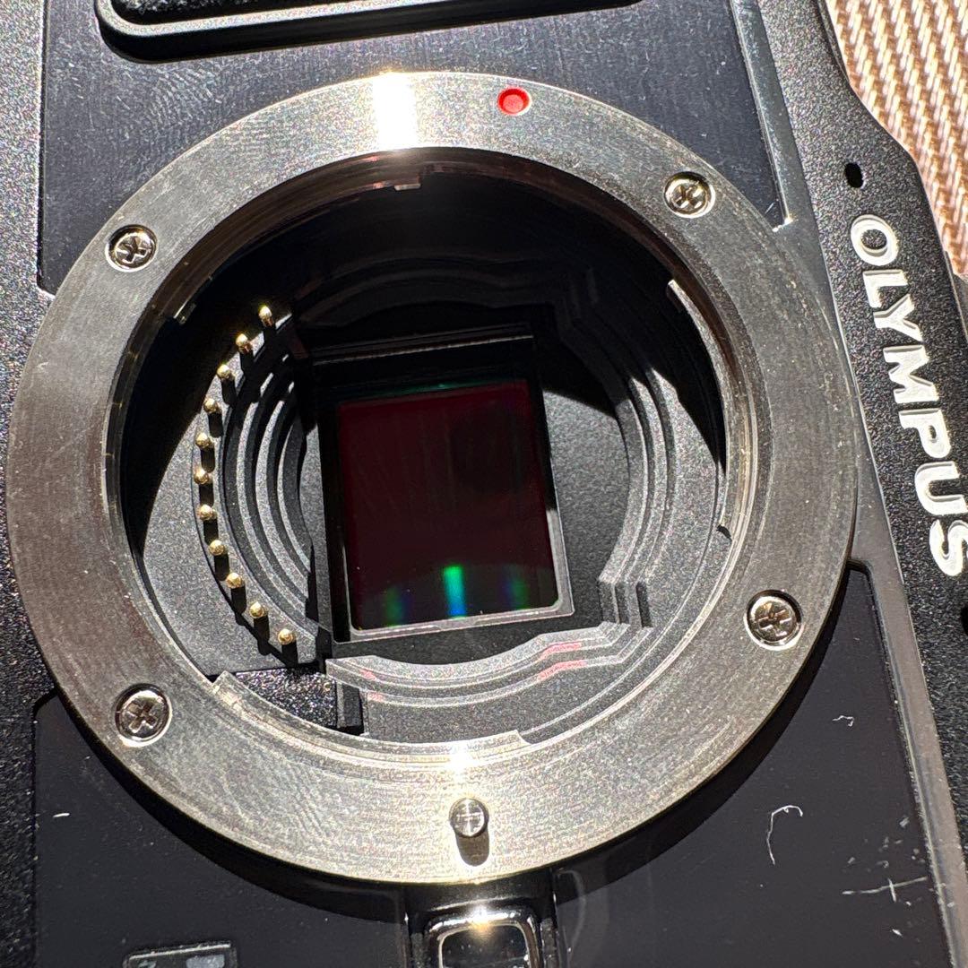 OLYMPUS ミラーレス一眼　E-P2 シャッター数3015 本体