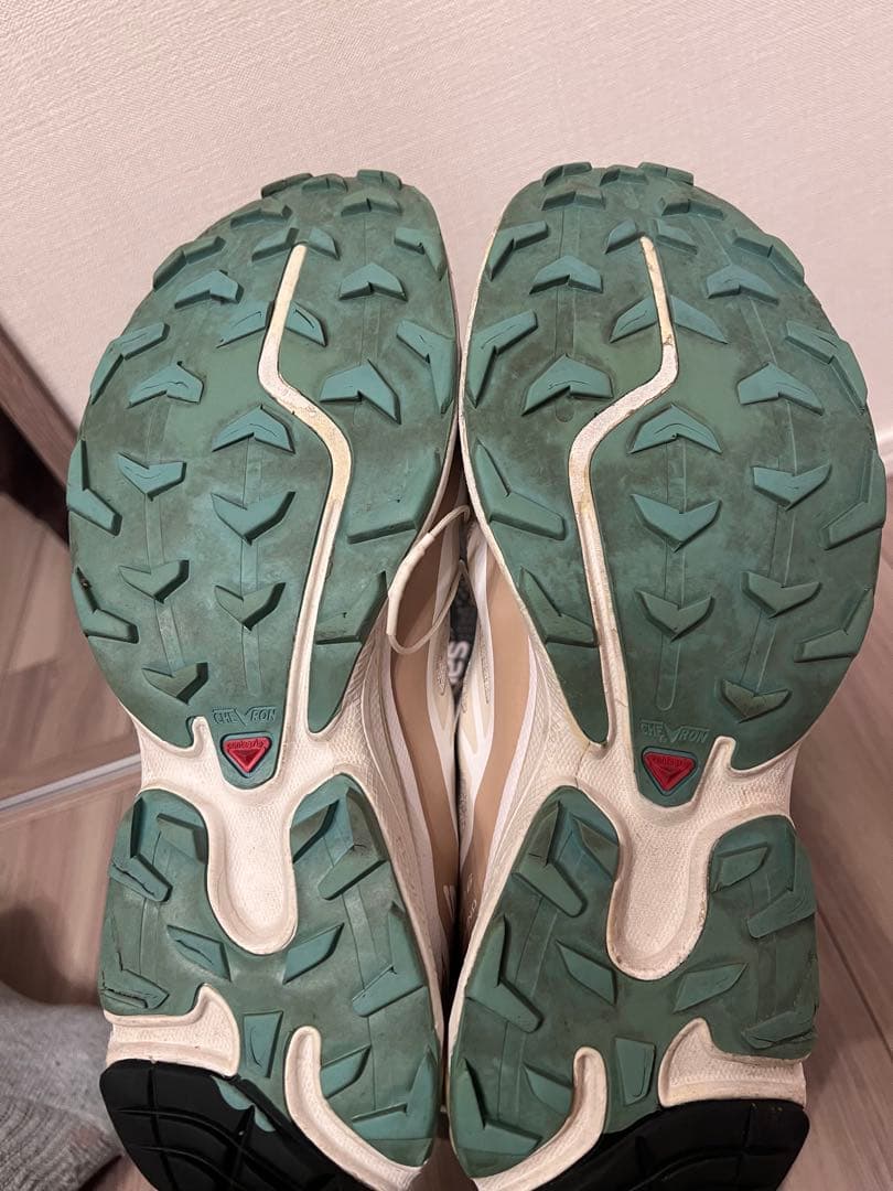 靴 SALOMON ADVANCED - XT-6 ADV