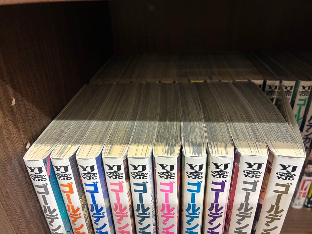 ゴールデンカムイ 全31巻セット　公式ファンブック