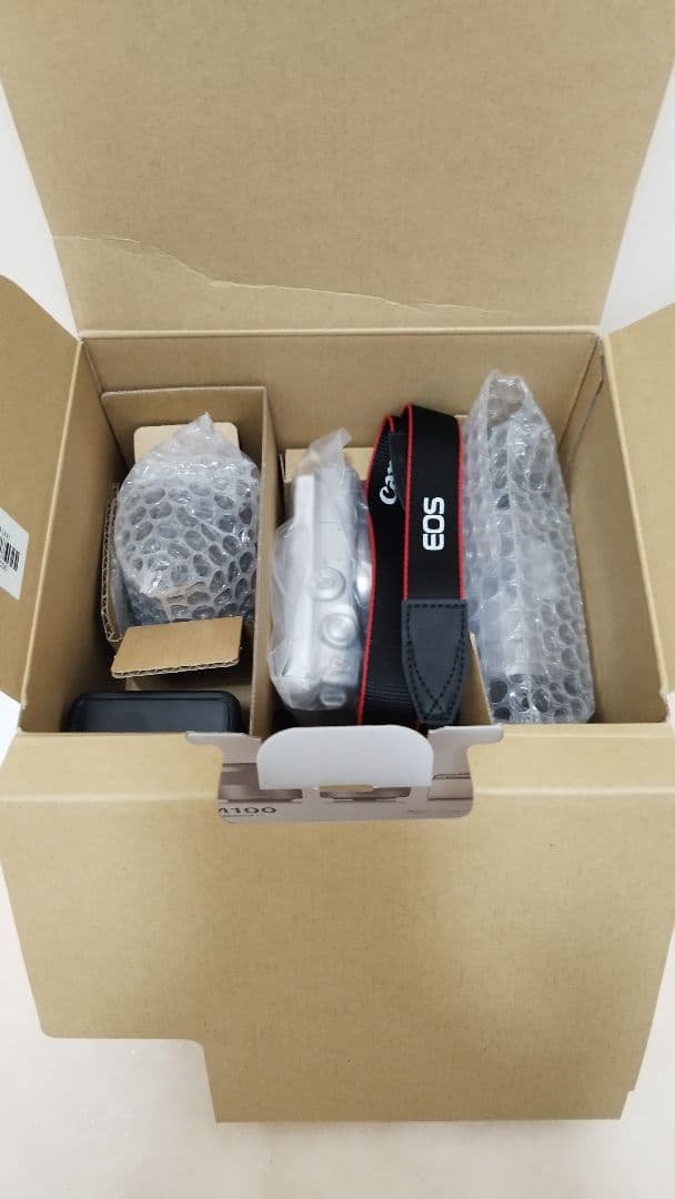 Canon EOS M100 ミラーレス一眼カメラ 箱あり 美品 Wi-Fi対応