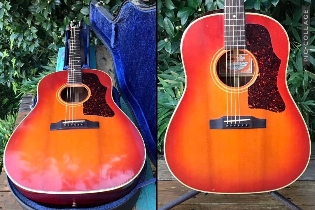 Bunny BJ-60 バーニー フェルナンデス