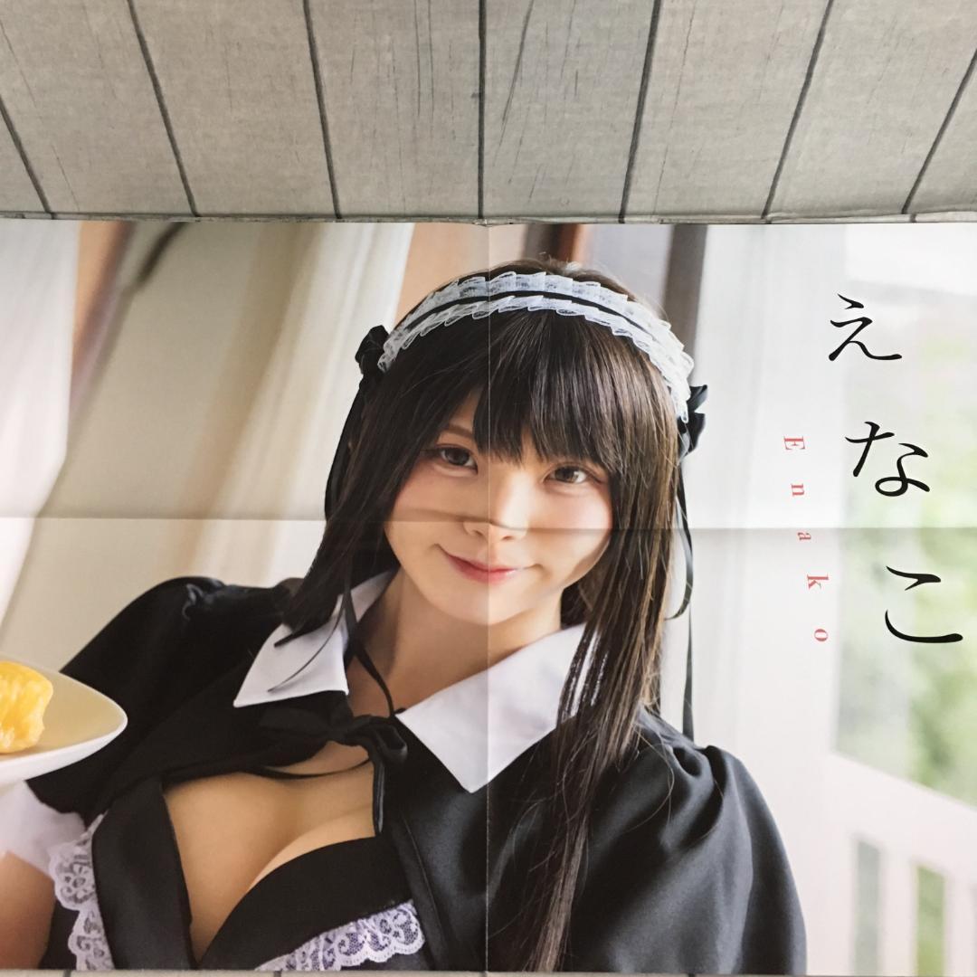 えなこ フォトブック 8冊+ポスター まとめセット h3637