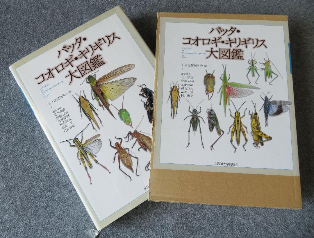 バッタ・コオロギ・キリギリス大図鑑