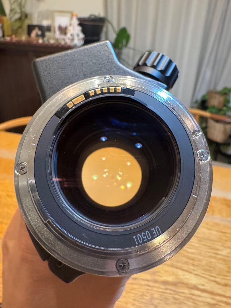 Lレンズ！　キヤノン CANON EF80-200ｍｍ F2.8 L