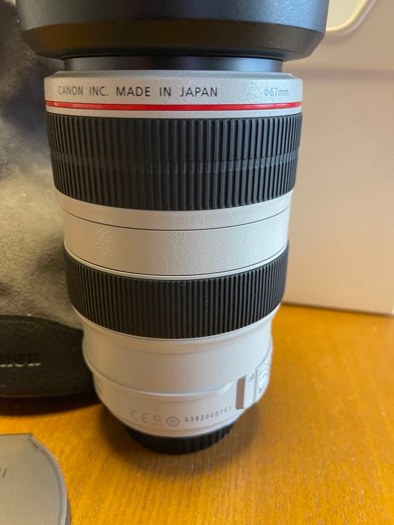 か*ち様 Canon EF 70-300mm f/4-5.6L IS USM