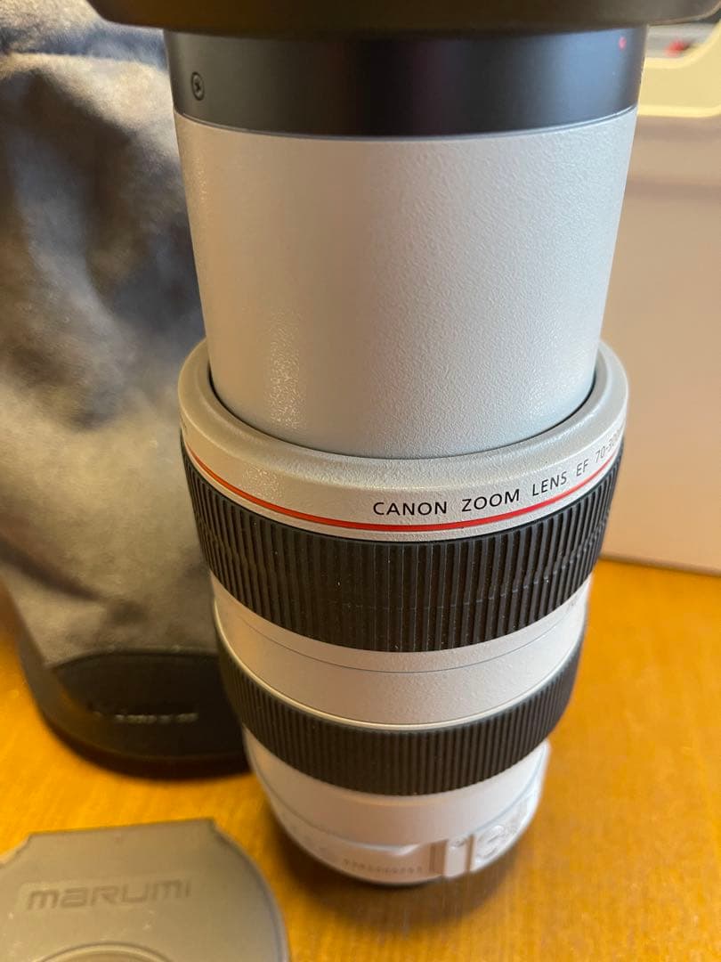か*ち様 Canon EF 70-300mm f/4-5.6L IS USM