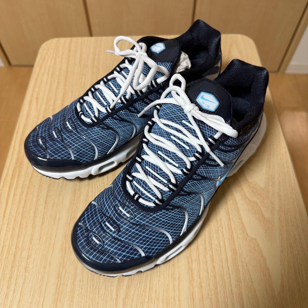 1回着用のみ Nike Air Max Plus オブシディアン　28センチ