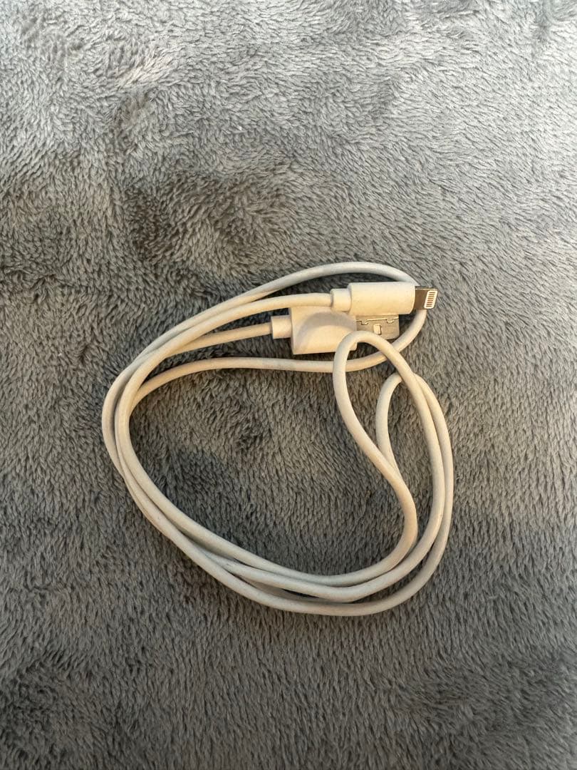 AirPods Pro 第2世代【Lightning】右耳＋充電ケース