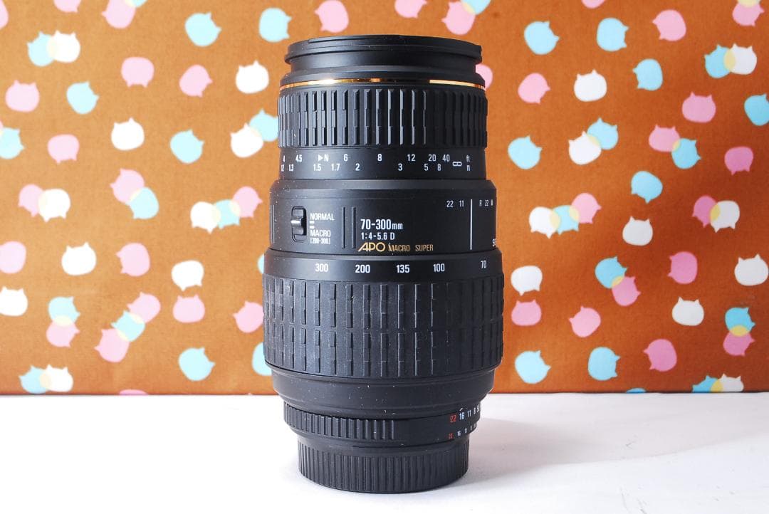 ✨美品✨望遠レンズ付き✨Nikon D200 レンズセット