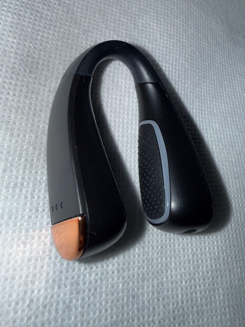 NIPLUX QNOSE 鼻専用EMS美顔器 高橋大輔ご愛用 森脇梨々夏鼻美顔器