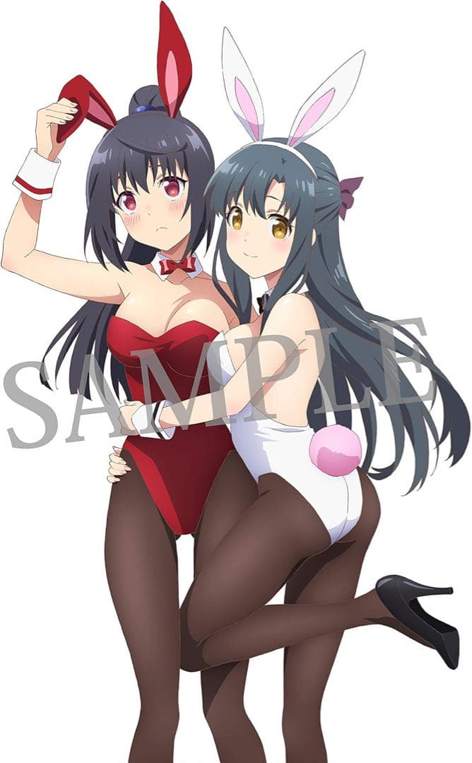 ありふれた職業で世界最強 Blu-ray BOX 全巻購入特典 B2布ポスター