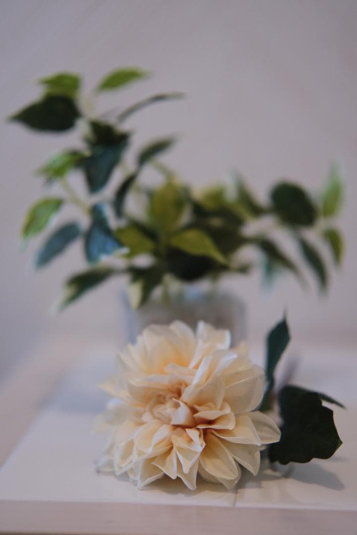 レンズ(単焦点) VILTROX AF 56mm F1.7 X-mount