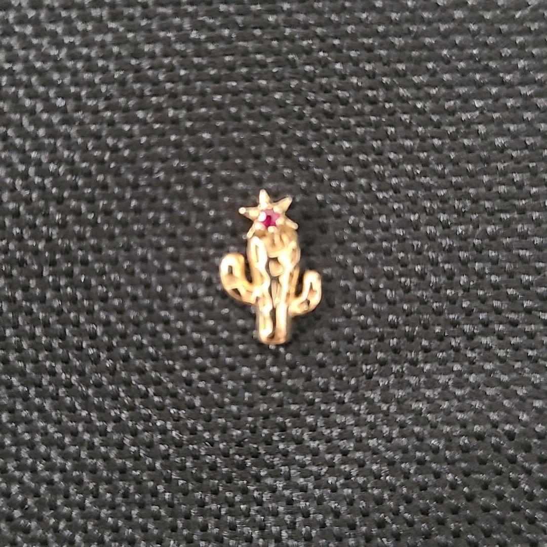 サボテン STAR JEWELRY GIRL K10 スタッズ ピアス 片耳用