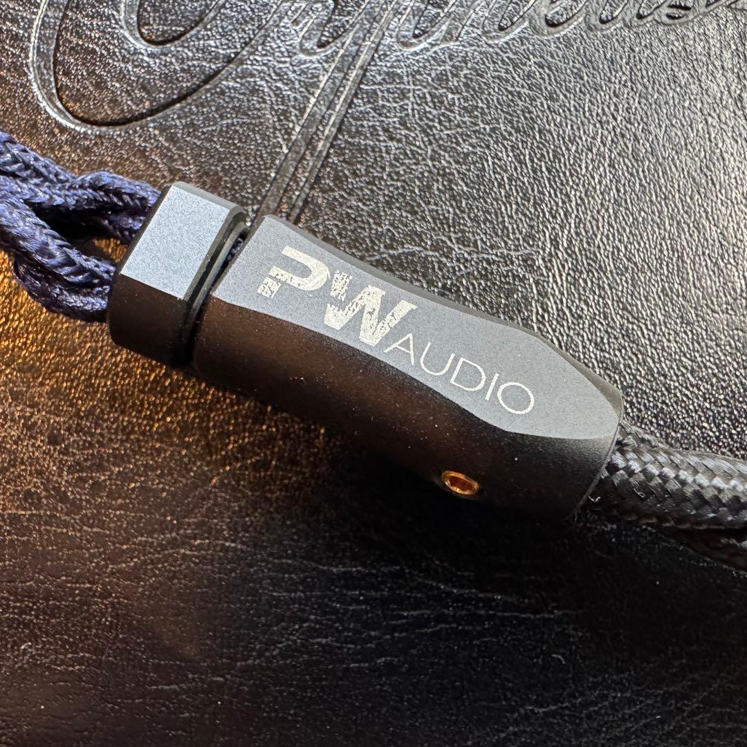 ラージ　PWAudio Orpheus 4.4mm 2pin