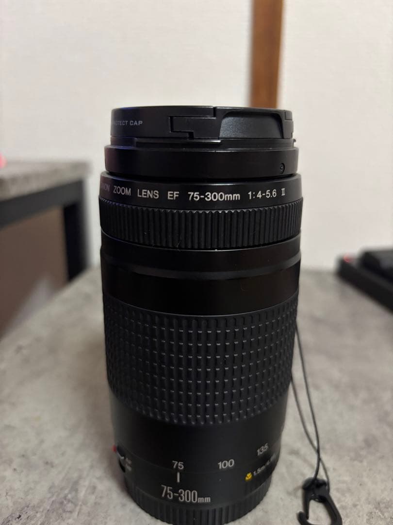 Canon EF 75-300mm f/4-5.6ⅱ ズームレンズ