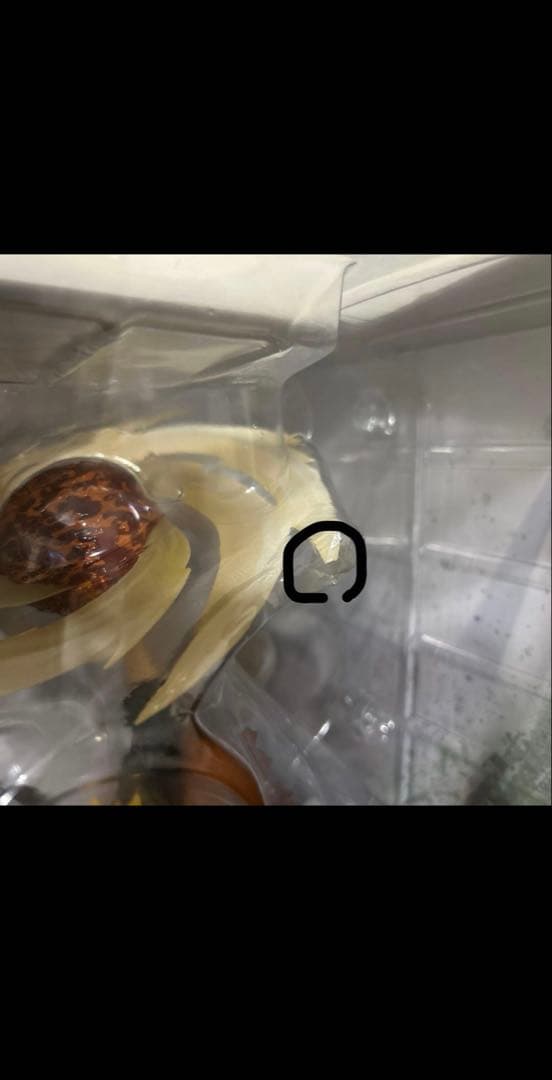 まうんてん　フィギュアーツZERO うずまきナルト-仙法・熔遁螺旋手裏剣-