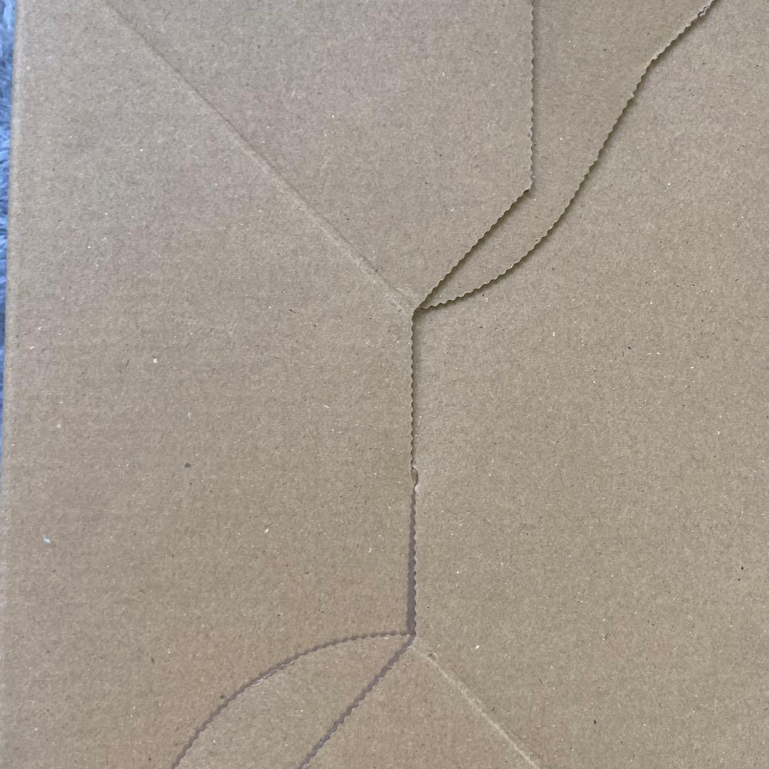 【匿名配送】シュリンク付きMEGA ドリーム ex 新品未開封 BOX