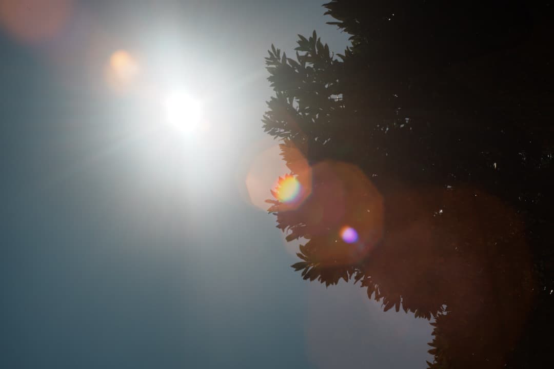 【SONY用アダプター付き】RIKENON P 55mm F1.2 410