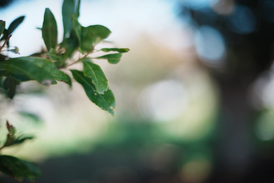 【SONY用アダプター付き】RIKENON P 55mm F1.2 410