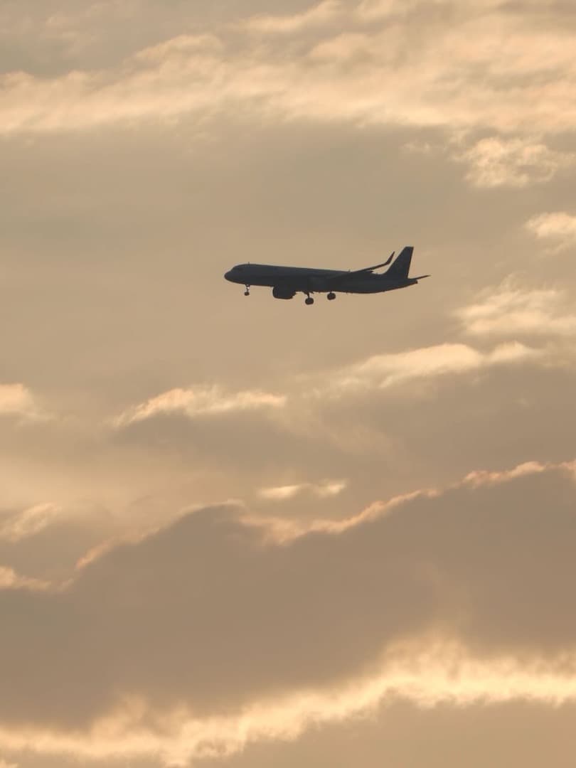 LUMIX TZ99 Panasonic ブラック 残保証あり コンデジ