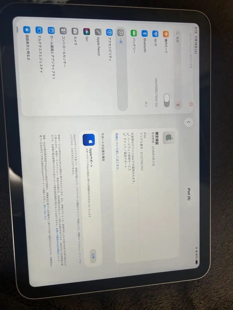 Apple iPad第10世代シルバー Apple care