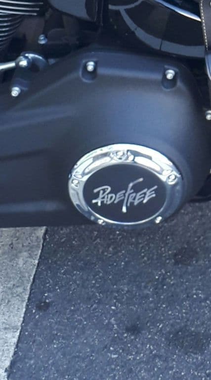 【美品】ダービーカバー