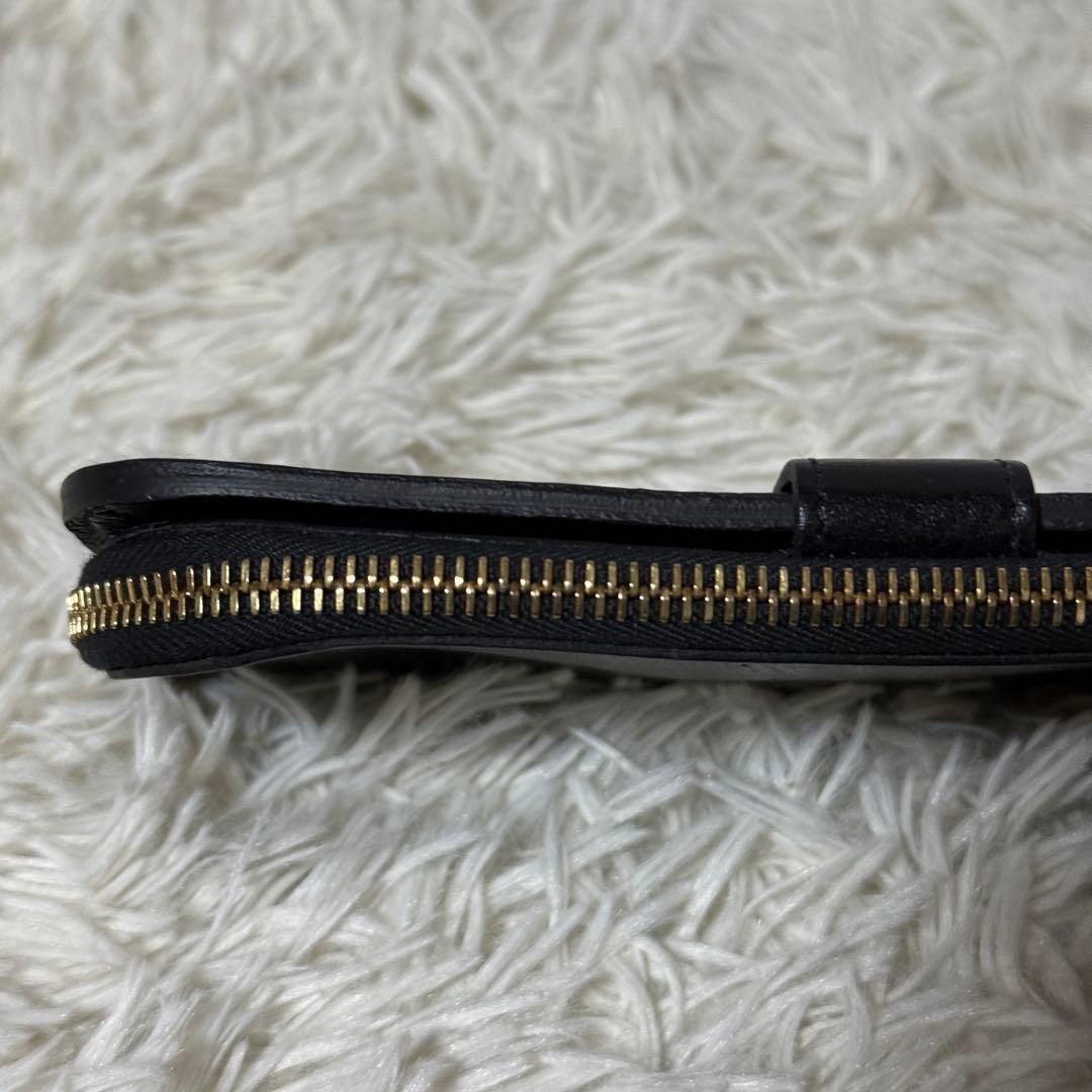 未使用✨IL BISONTE イルビゾンテ　レザー　ロングウォレット　ブラック