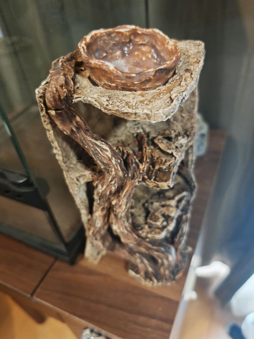 GEX グラステラリウム3045 ヒーティングトップ シェルター 引取りも可