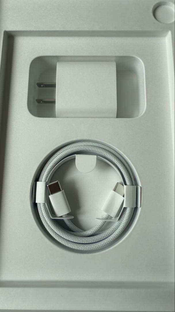 iPad mini 第7世代 128GB Cellular +PITAKAケース