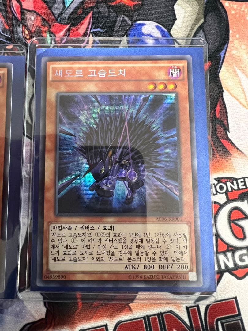 シャドール・ヘッジホッグ　韓国　シークレットAE06