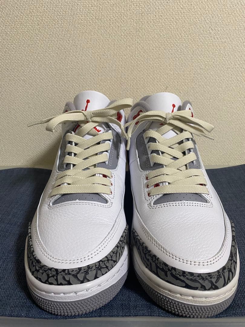 25.5 cm NIKE AIR JORDAN 3 ファイヤーレッド