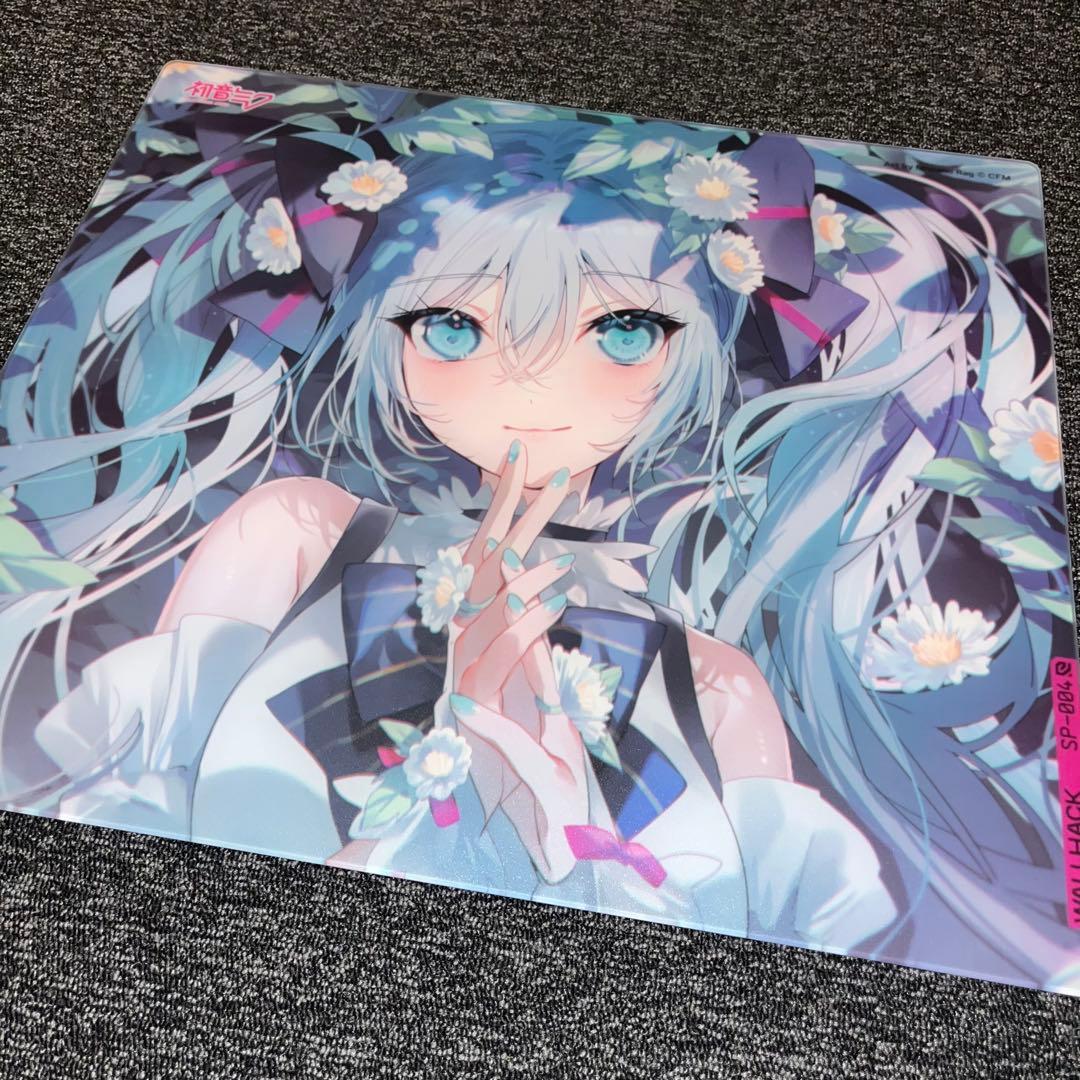 【きんぐひろ】Wallhackガラスパッド SP-004