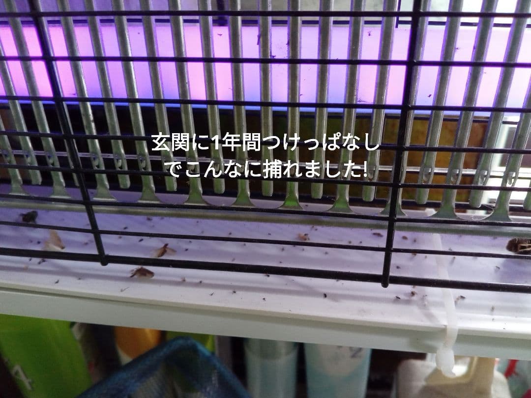 ノン。電撃殺虫器、3台。ハイパワー3200V電撃!!