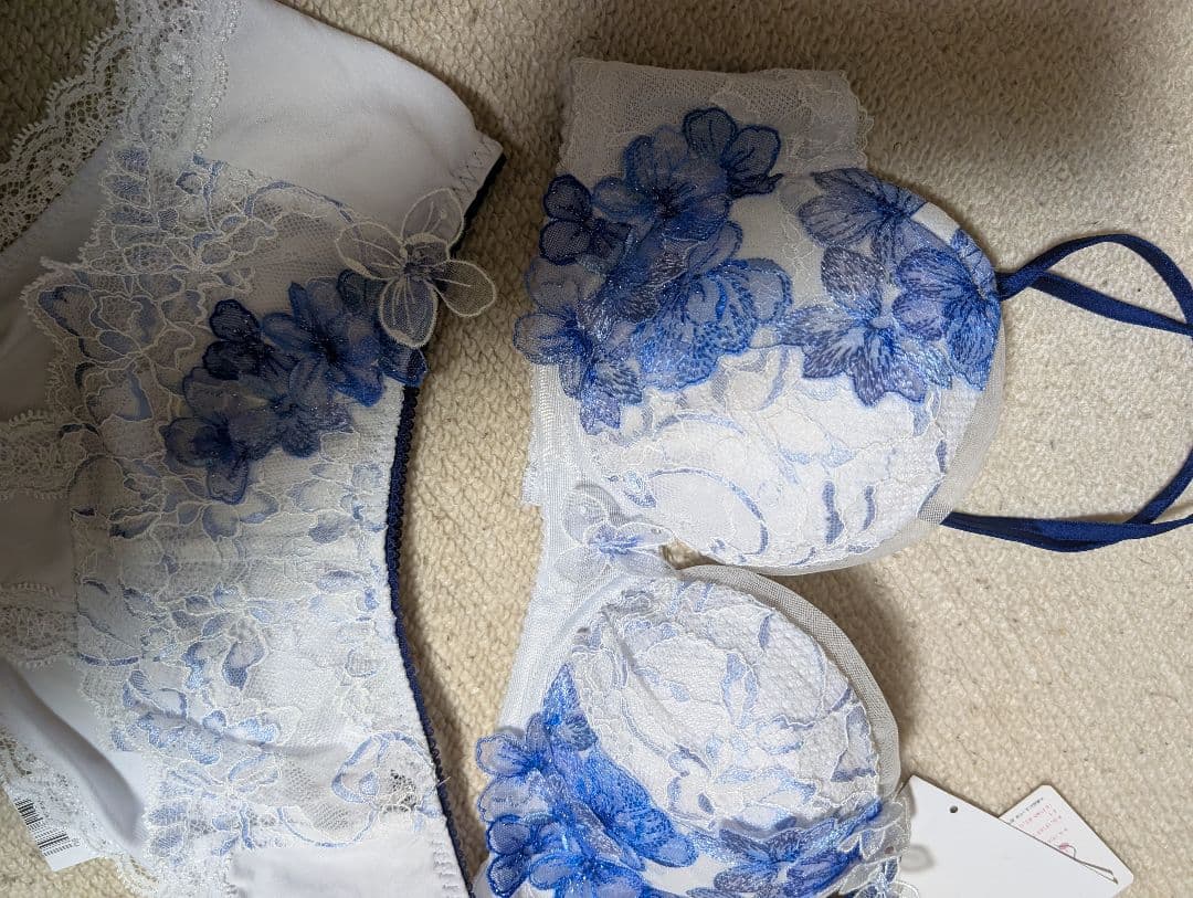 ワコール パルファージュ　ブラジャーとショーツD65M