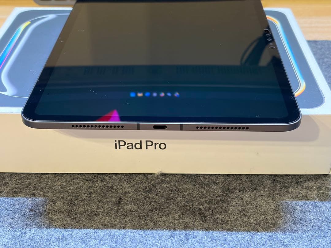 本日限定価格 保証残有 iPad Pro 11 M4 256GBセルラー