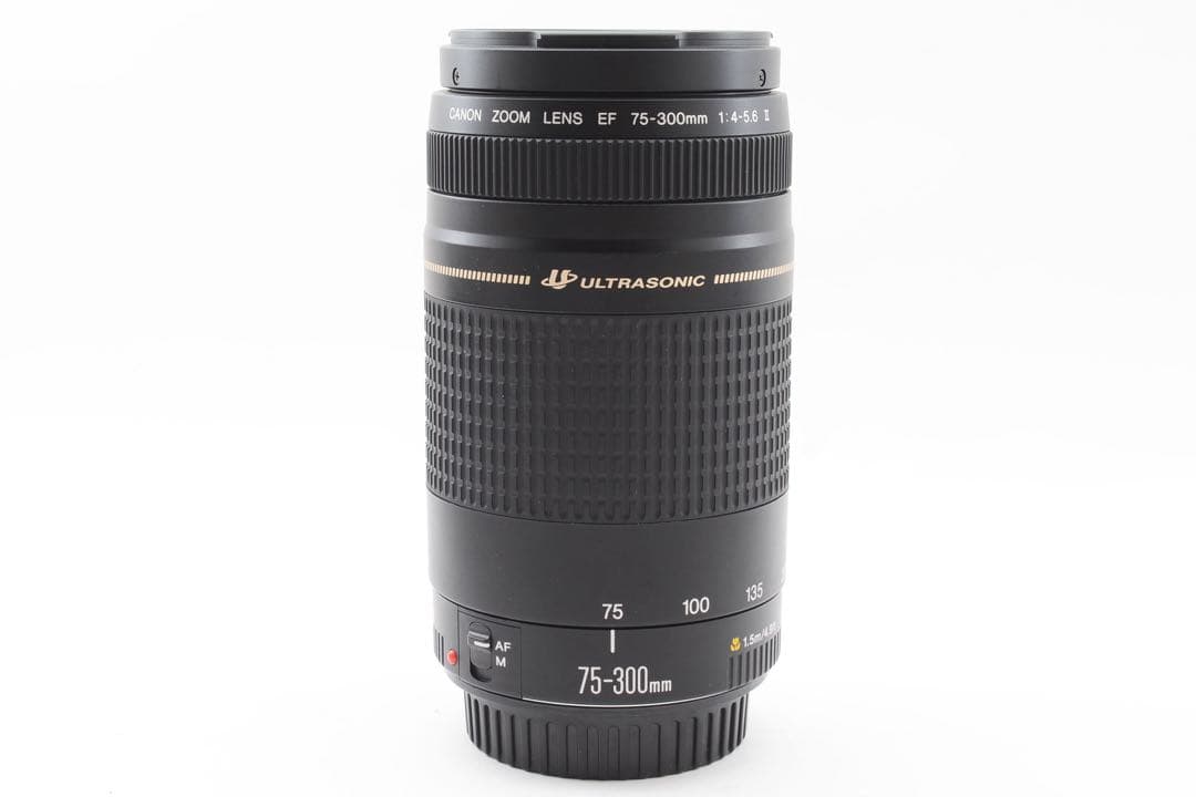 Canon EF 75-300㎜1:4-5.6 Ⅱ / ULTRASONIC