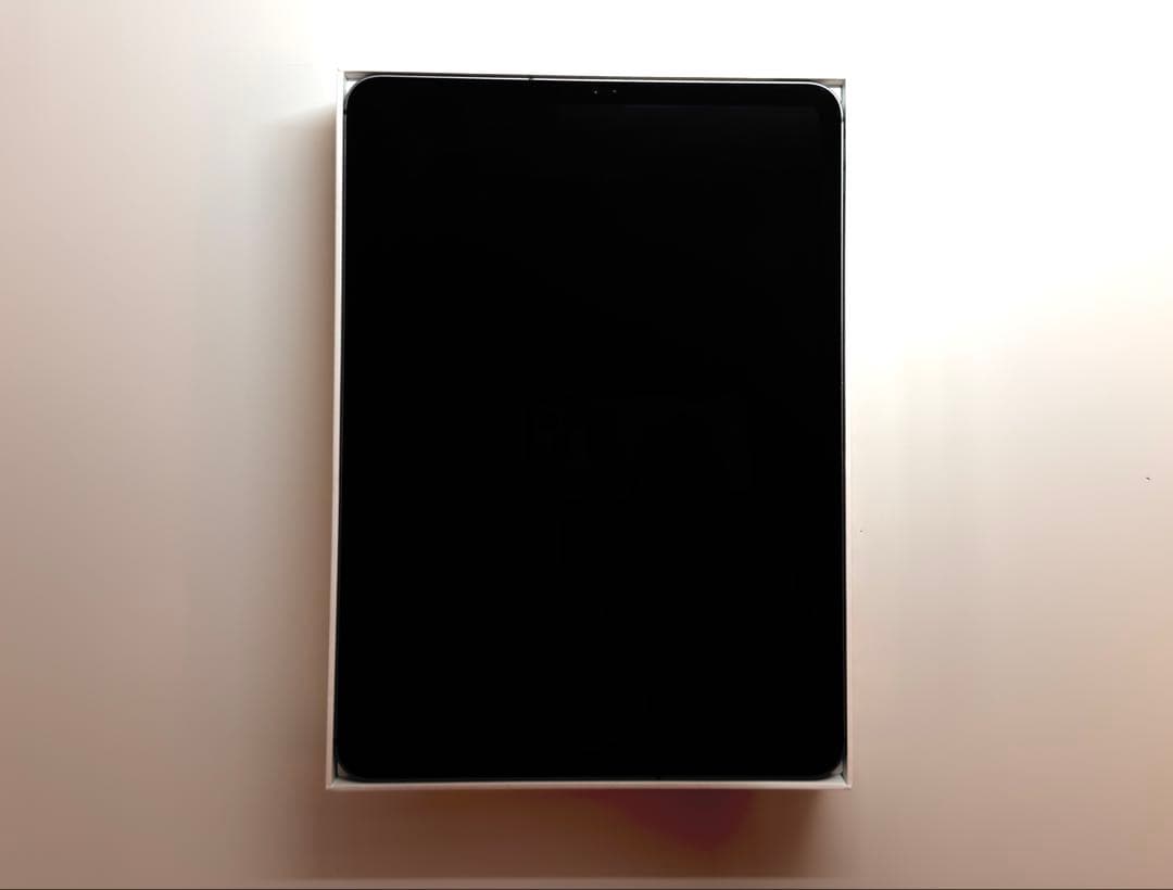 iPad Pro 11 64GB Cellular ＋Apple Pencil