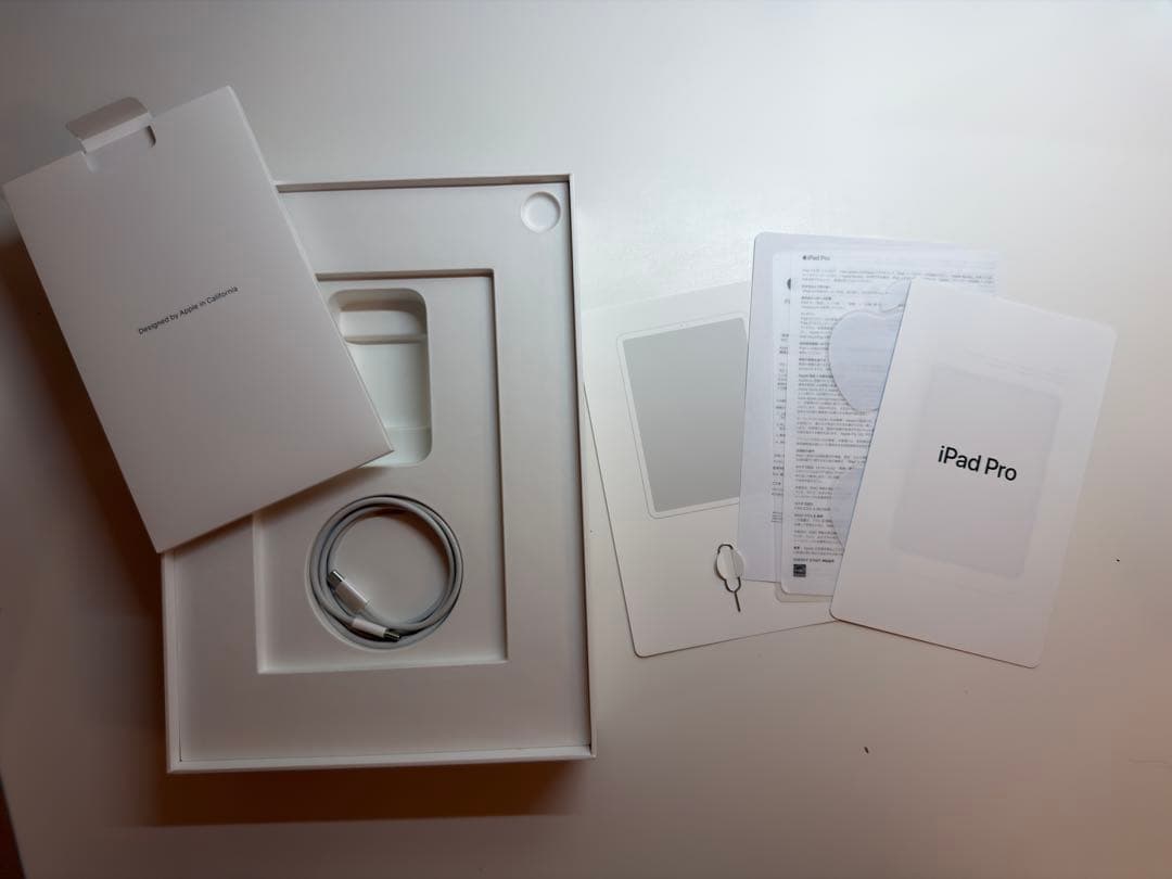 iPad Pro 11 64GB Cellular ＋Apple Pencil